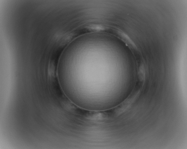 X0000113750330200909301037