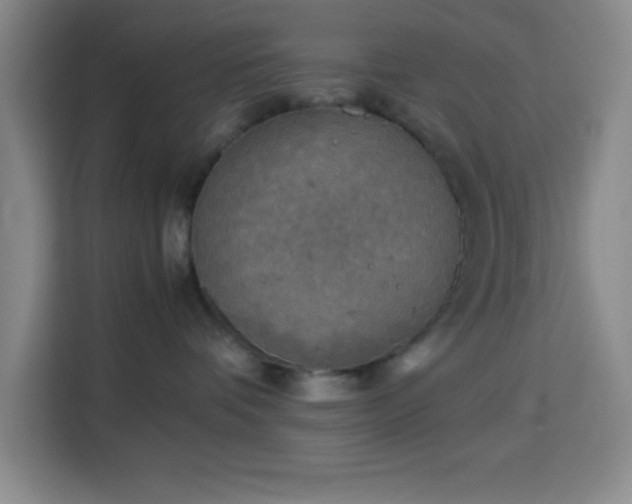 X0000113750336200909301036