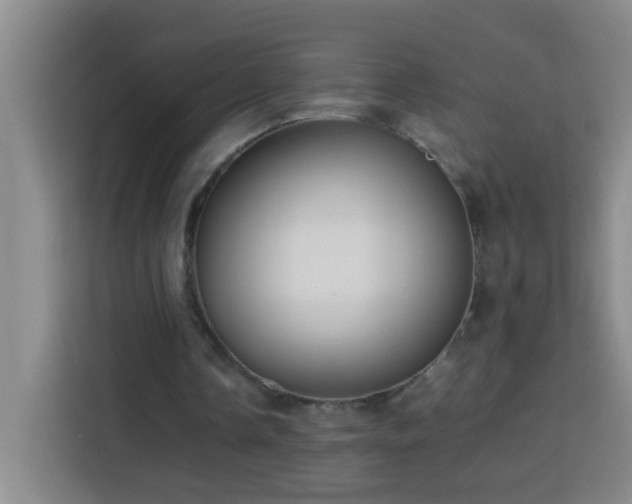 X0000113750338200909301036