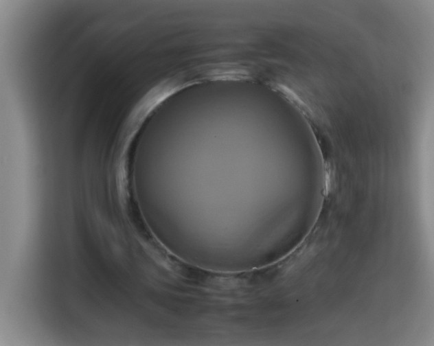 X0000113750339200909301036