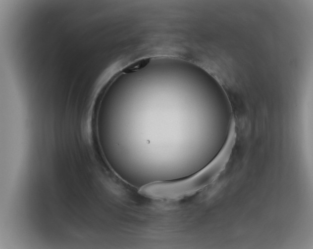 X0000113750340200909301036