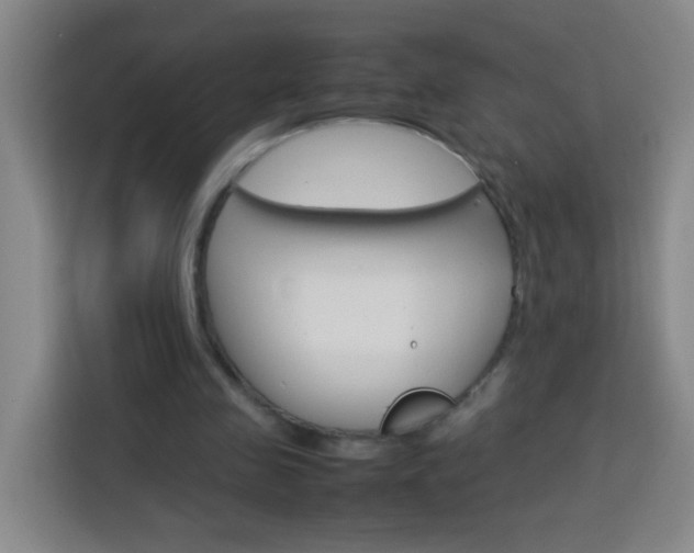 X0000113750341200909301036