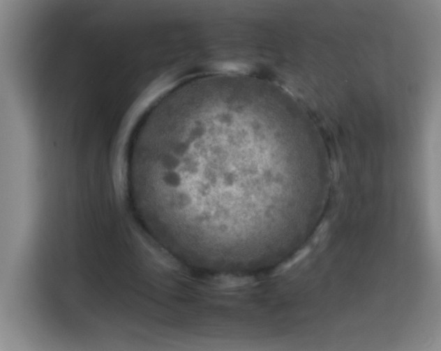 X0000113750343200909301036