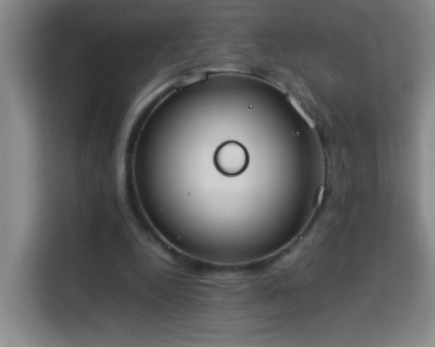 X0000113750344200909301036