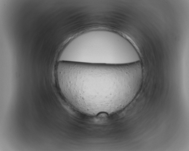 X0000113750345200909301036