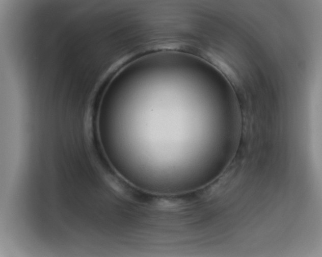 X0000113750346200909301036