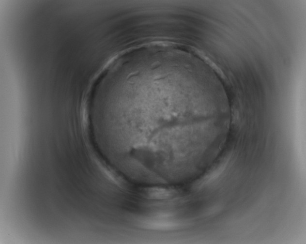 X0000113750347200909301036