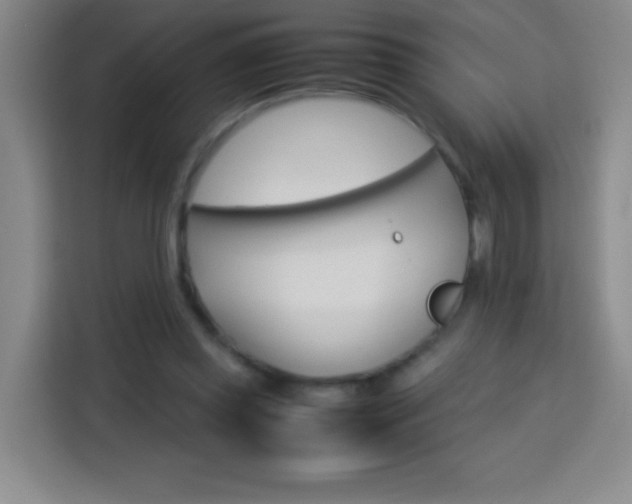 X0000113750349200909301036