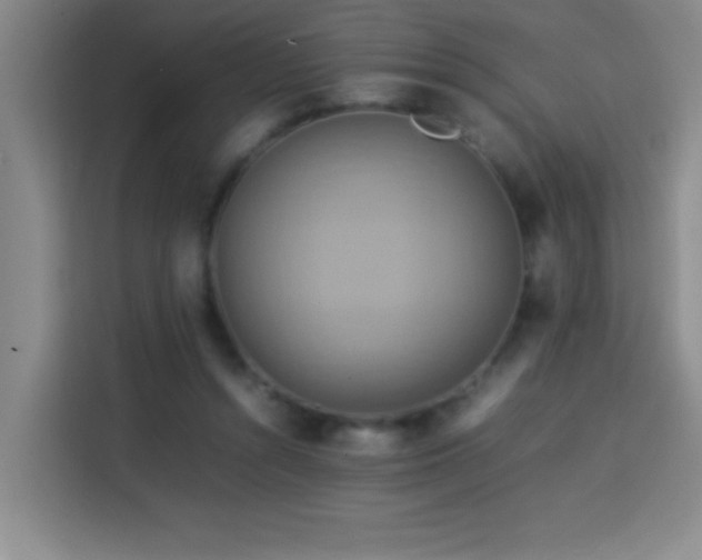 X0000113750352200909301036