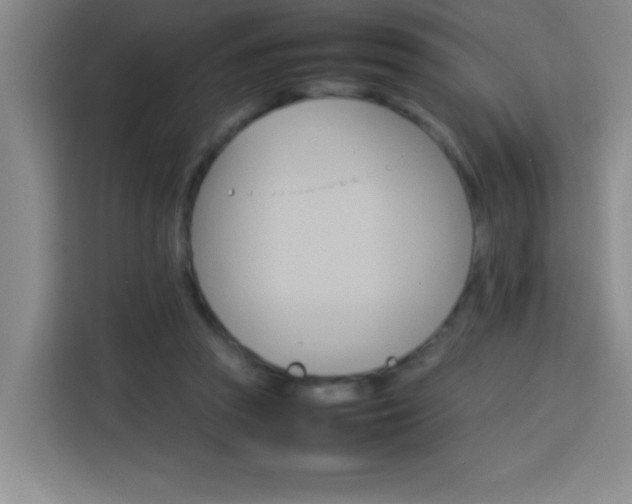 X0000113750353200909301036