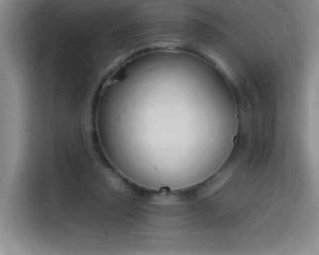 X0000113750354200909301036