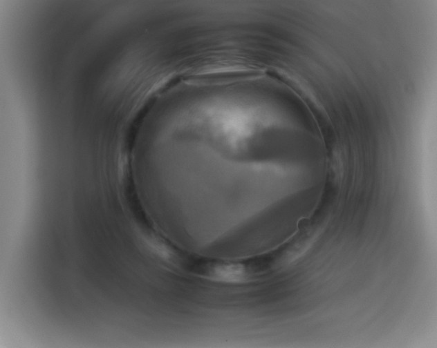 X0000113750355200909301036