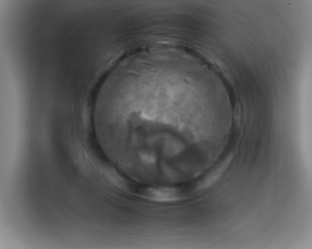 X0000113750359200909301036