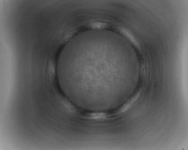 X0000113750363200909301036