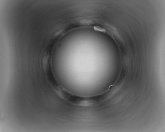 X0000113750364200909301036