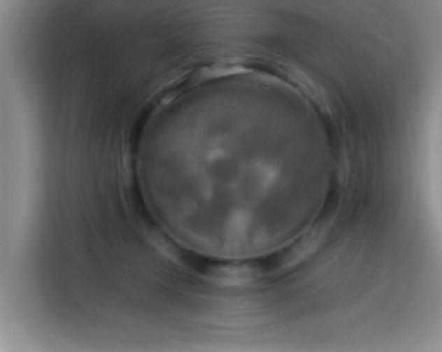 X0000113750366200909301036