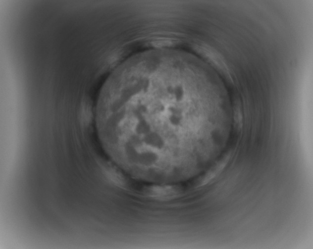 X0000113750367200909301036