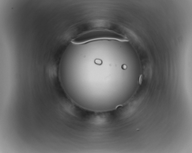 X0000113750368200909301036