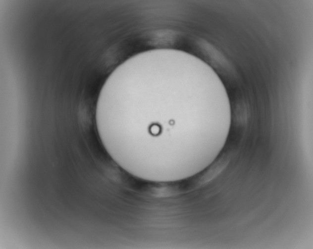 X0000113750370200909301036