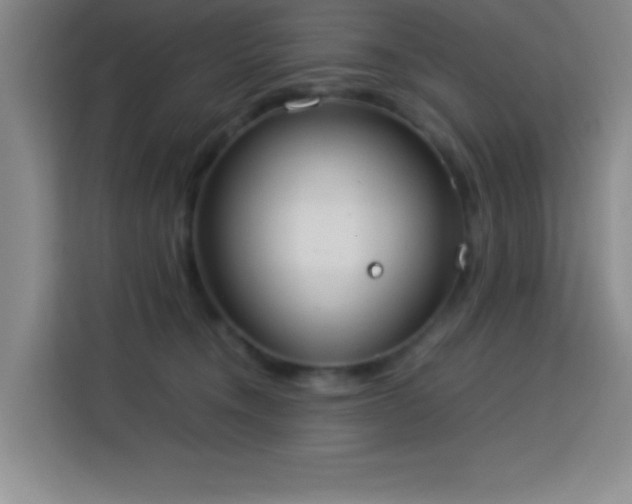 X0000113750372200909301036