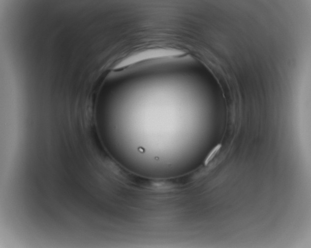 X0000113750376200909301036