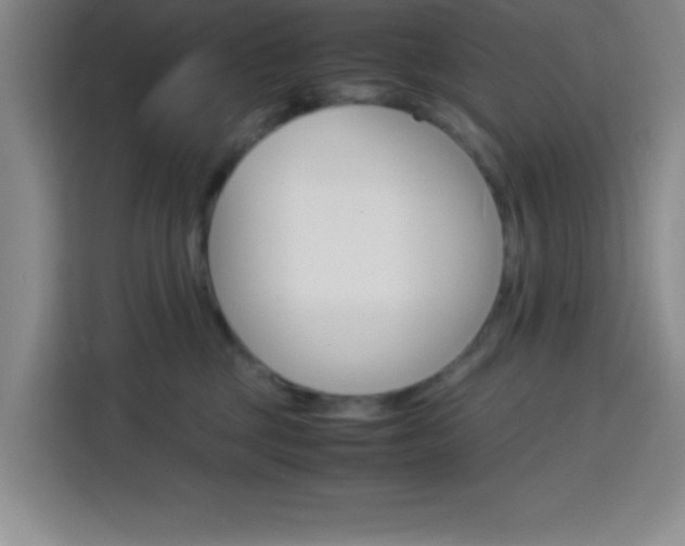 X0000113750377200909301036