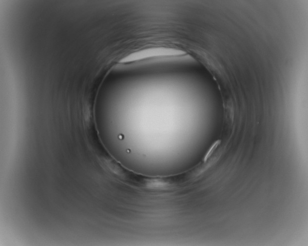 X0000113750380200909301036