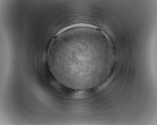 X0000113750382200909301036