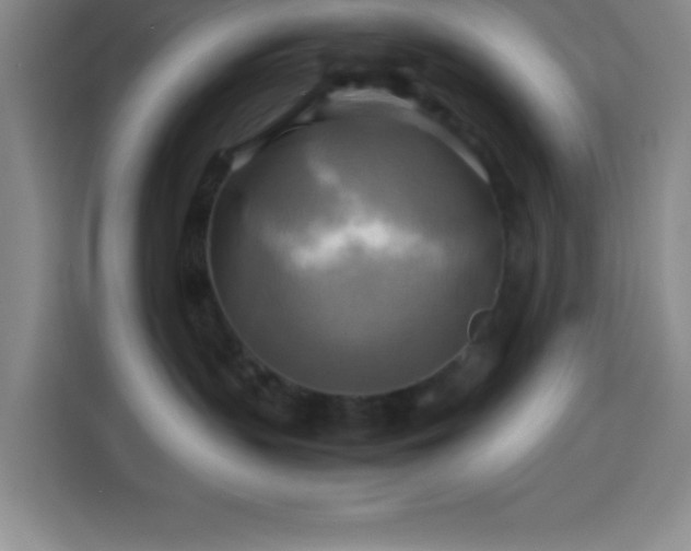 X0000113750383200909301036