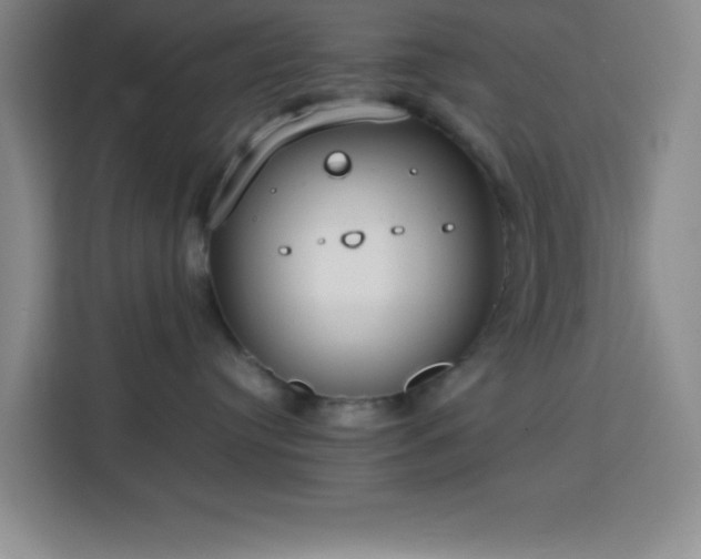 X0000113750384200909301036