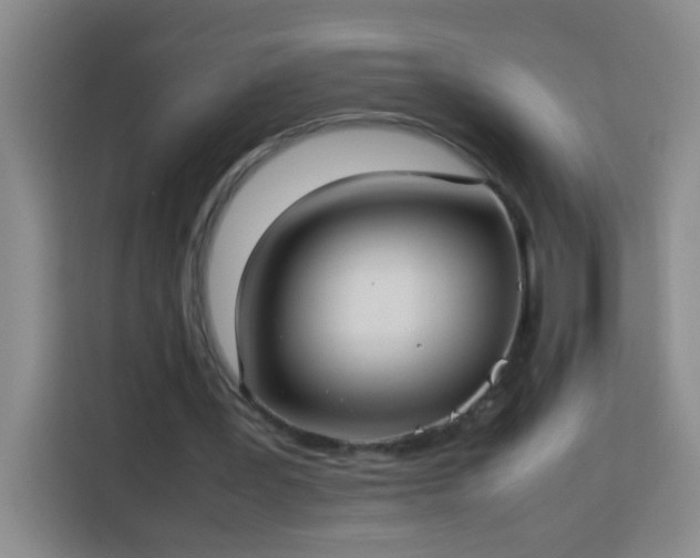 X0000113750387200909301036