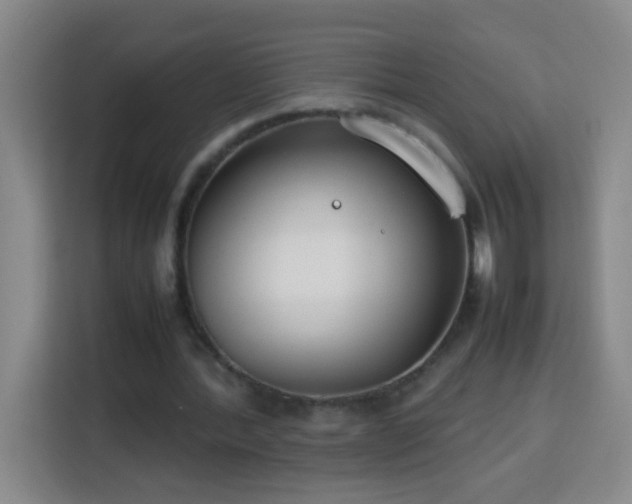 X0000113750388200909301036