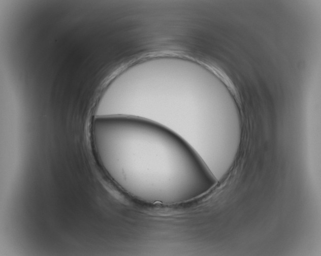 X0000113750389200909301036