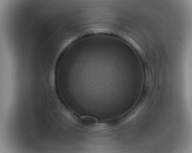 X0000113750391200909301036