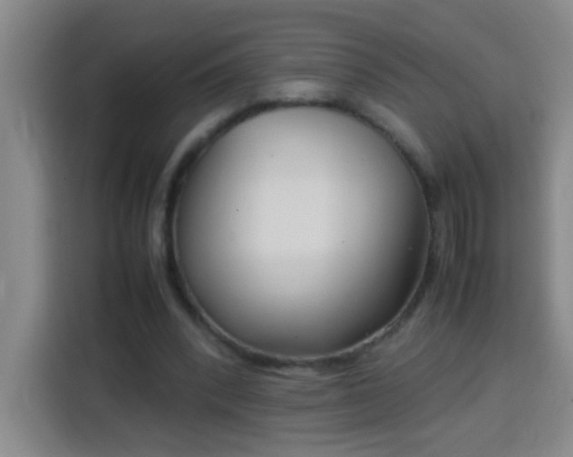 X0000113750392200909301036