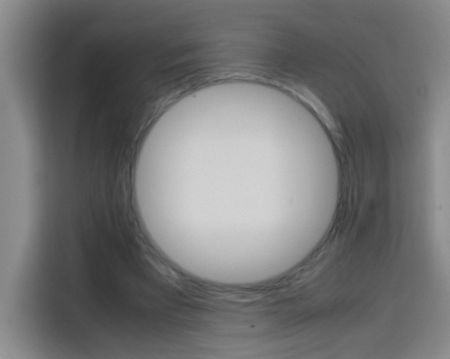 X0000113750393200909301036