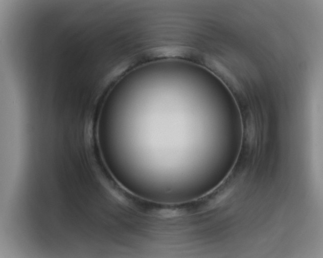 X0000113750394200909301036