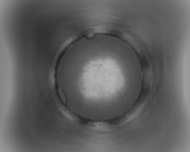 X0000113750395200909301036