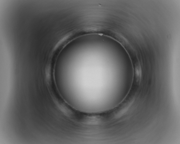 X0000113750396200909301036