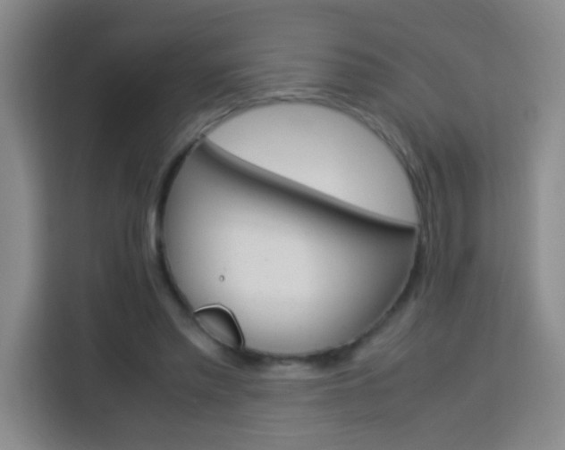 X0000113750397200909301036