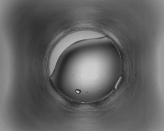 X0000113750399200909301036