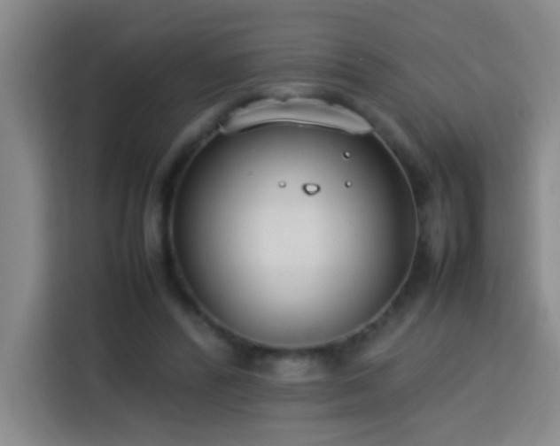 X0000113750400200909301036