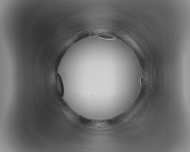 X0000113750401200909301036