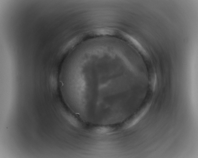 X0000113750402200909301036