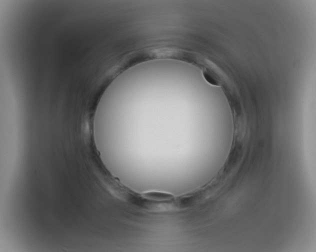 X0000113750405200909301036