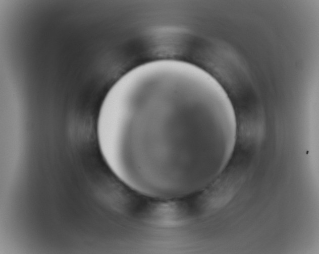 X0000113750411200909301036