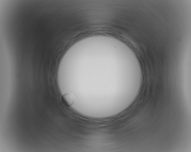 X0000113750417200909301035