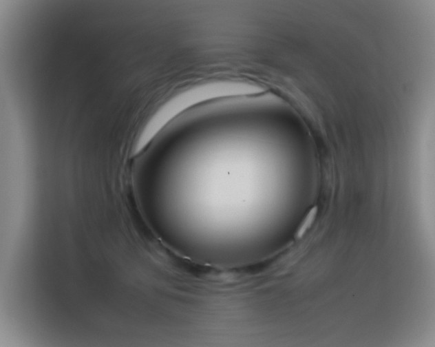 X0000113750419200909301035