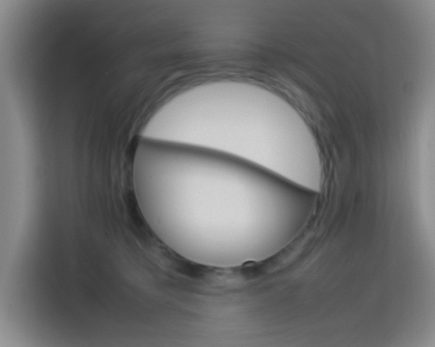 X0000113750421200909301035