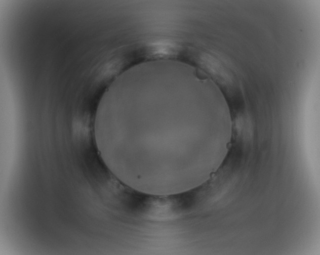 X0000113750423200909301035